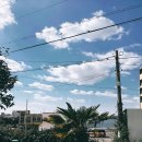 핫플게스트하우스 이미지