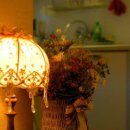 숲속의 별들 이미지