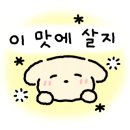 좋은고기 소장군 이미지