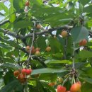 가막골농장 이미지