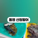 충무활어횟집 이미지