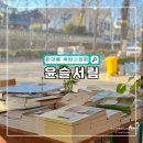 강릉 혼자여행 독립서점 추천 나만 알고 싶은 윤슬서림