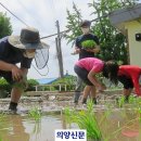 남면초 양덕분교장 이미지