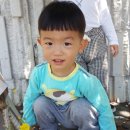 정선군립병원 장례식장 이미지