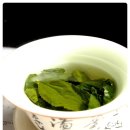 세계의 차문화 이미지