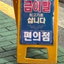 김시환 | 25.11-12