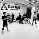 알파레슬링 이미지