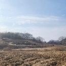 다산리보건진료소 | 전원주택 주말농장 텃밭 등 적합/ 화순군 사평면 다산리 답437평(1,445제곱) / 5천9백만원 보전관리지역...