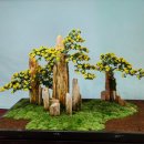 창원 / 마산 가고파 국화축제 이미지