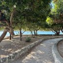 현대오페라하우스 이미지