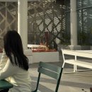 하이모카 | 신사역 미용실 코르브 강하라 디자이너님 만족 후기 | 하이레이어드컷 모카무스 염색 맛집