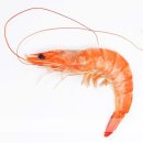 피오레부동산중개 이미지