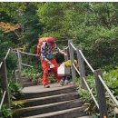 2025년 11월 26일 신문을 통해 알게 된 것들 이미지