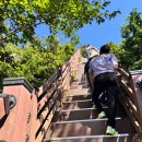 트레킹군산 | 군산 대장봉 트레킹 난이도와 주차 정보