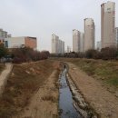 대월놀이공원 이미지