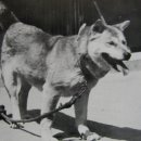 (주)보선 이미지