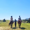 J승마체험장
