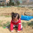 유안농장 이미지