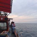 해인호 | 속초가자미낚시배 속초 해인호와 함께한 낚시 여행 후기