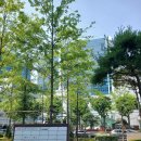 서울 가산디지털단지역 안전관리자 신규보수교육 받으러 다녀옴.