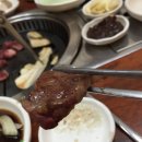 윤가네한우마을 | 정선 윤가네한우마을 후기