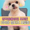 방학동물병원 이미지