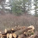 학연경로당 이미지