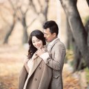 비비드스튜디오 이미지