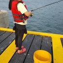 테라스의아침펜션 이미지