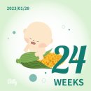 [임신일지] 임신 24주차 증상, 산과 검진, 눕눕생활 청산, 임당 검사, 임산부 편두통, 신경과 검진 추가