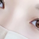 엘속눈썹 이미지