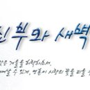 2019년 11월 6일 연중 제31주간 수요일 이미지