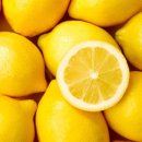 레몬필라테스 이미지