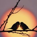 시인의마음 이미지