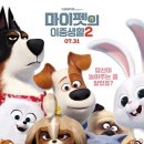 마이펫 이미지