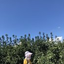 민우네농장 이미지