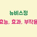뉴비스(NBS)