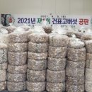 진도상사 이미지