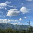 구례진달래집 이미지