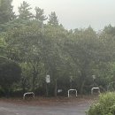 편운산장 | [내돈내산] 제주도 동부 현지인 맛집, 섭지코지 맛집 추천 ! 편운산장 방문 후기 !