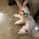 토리키치자양역점 | [옥수 맛집] 토리키치 옥수역점 이자카야 후기 옥수역 데이트 추천
