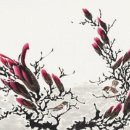 분당-120 이미지