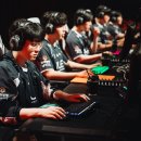 온막지 스포츠서울