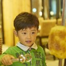 더블루 제주 | 제주도 숙박 섶섬이 보이는 객실,[더블루제주] 그리고 무한리필 라스지오르(Lassugioroo)레스토랑
