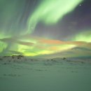 신흥메디칼의원 이미지