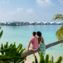 Lounge PC CAFE | 몰디브 | 쥬메이라 올하할리 리조트 소개 | Jumeirah Olhahali Island Maldives 소개