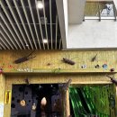 행복카랜드 | 구미에코랜드 아이와 다녀온 후기, 유모차 가능하고 볼거리 많은 곳