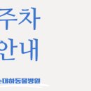 손대하 동물병원 이미지