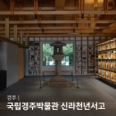 회화나무 도서관 | 경주 국립경주박물관 신라천년서고 국제건축상 도서관 경주 가볼만한곳