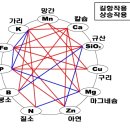 화학비료 사용시, 원소의 길항과 상승작용 주의해서 사용해야~ 이미지